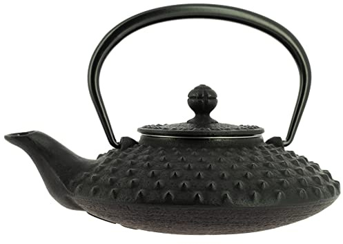 Iwachu Nanbu Tekki Tetera Kanbin Plana Negra 500 ml - Hierro Colado de Japón