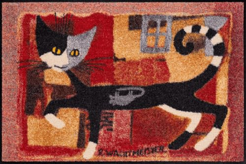Salonloewe Fussmatte Ivano with Mouse I Schmutzfangmatte & Fußabtreter für Innen 50 x 75 cm