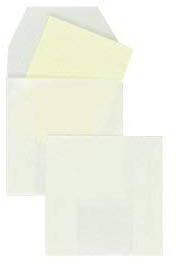 100 Stück, Münztüten, 50 x 50 mm, Gerade Klappe, 80 g/qm Pergamin, Ohne Fenster, Weiß (Transparent-Weiß), Blanke Briefhüllen