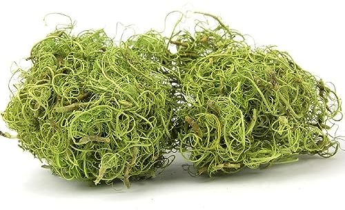 NaDeco Curly Moos in Grün, Gewicht ca. 50g | Curlymoos | Tillandsia Moos | Spanisches Moos | Moos-Deko | Deko-Moos | Bastelmoos | Dekomoos | Bastel-Moos | Moos zum Basteln