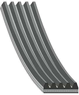 febi bilstein 28856 Keilrippenriemen, 1 Stück