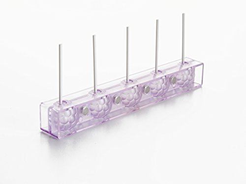 IBILI 792200 - Molde para gominola + 24 palitos
