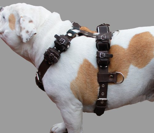 Hundegeschirr aus echtem Leder, 4,5 kg, Braun Passend für 88,9 - 111,8 cm Brustumfang