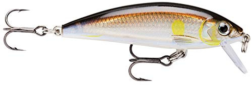 Rapala - CountDown un leurre pour cibler les poissons suspendus comme les truites, saumons, perches, sandres, black bass et brochets en eau douce -7cm,10g coloris Ayu
