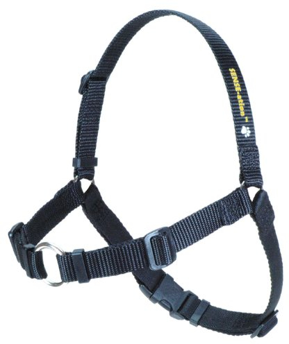 Anti Zieh Hundegeschirr - SENSEation Harness Erziehungsgeschirr - Erziehungshalsband - Reduziert Ziehen an der Leine - Medium