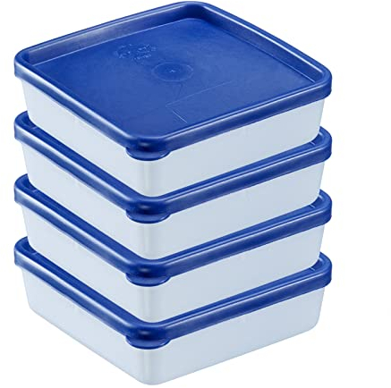 Westmark Set di 4 Contenitori per Congelare Alimenti, Con Coperchio, Capacità: 0,25 Litri Ciascuno, Impilabili, Plastica, Trio, Colore: Trasparente/Blu, 25042270