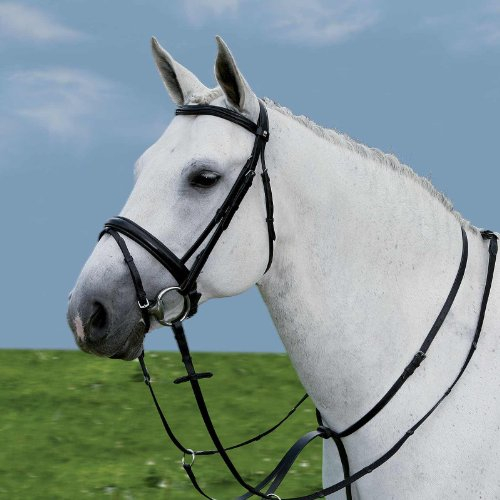 WALDHAUSEN Star Martingal, PON, schwarz