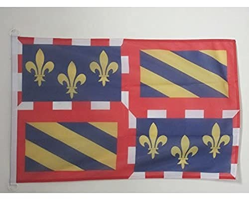 AZ FLAG Pavillon Bourgogne 90x60 cm Maille Bloquée Anneaux Plastique | Usage extérieur et nautique Pavillon nautique bourguignon résistant aux intempéries avec coutures doubles et bords renforcés