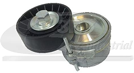 3RG INDUSTRIAL - Rodillo Tensor- OEM 575155 1613839980 575155 - Piezas para Coche Recambios Motor y Otras Partes de Vehículo | Compatible con los Modelos de Coche y Moto indicados más Abajo.