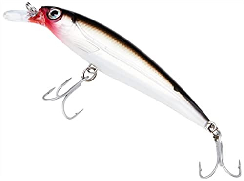 Rapala X-Rap Saltwater - Leurre de Pêche pour Les Gros Prédateurs - Mer Tout Poisson - Prof de Nage 1.2-1.8m
