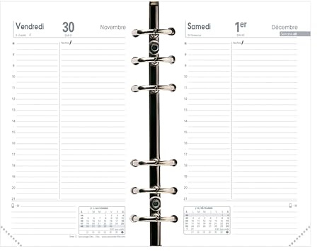 Quo Vadis - Kalendereinlage – 2025 – Timer 17 – Tageskalender – Französisch – 13 Monate von Dezember bis Dezember – 10 x 17 cm – Papier Clairefontaine weiß – hergestellt in Frankreich
