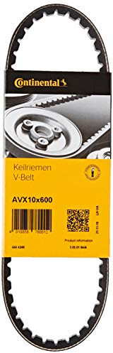 CONTITECH AVX10X600 CORREA