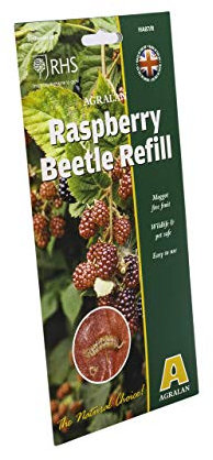 Agralan RHS Approved Natural Pheromone Lure Traps & Refills | Codling Moth | Plum Moth | Box Tree Moth | Chafer Beetle | Raspberry Beetle Control (Raspberry Beetle Refill)