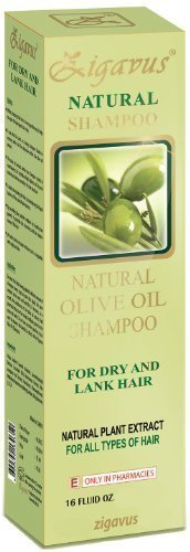 Zigavus Olivenöl Extrakt Natural Shampoo 450ml für trockene, matte und kraftlose Haare! Haarpflege! PH-Neutral!
