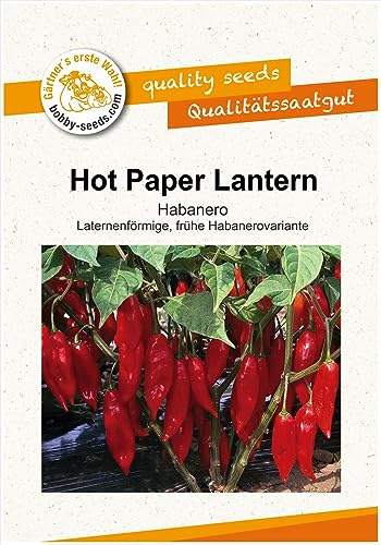 Paprikasamen Hot Paper Lantern Chili- Peperoni Portion