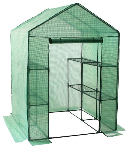 Zelsius Serra in plastica, serra per pomodori con scaffale, serra per pomodori, verdure, frutta, fiori per giardino o balcone, 195 x 143 x 143 cm, verde