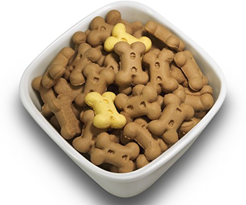 SALiNGO Hundekeks - Trainingskekse, die natürliche Knabberei für den Hund, 500g