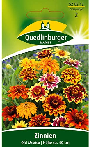 Quedlinburger Zinnie 'Old Mexico', 1 Tüte Samen