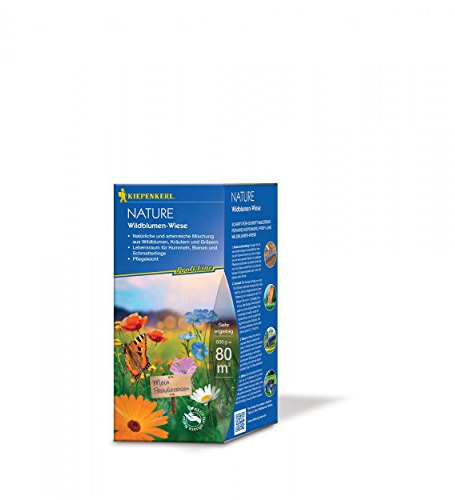 Kiepenkerl Profi-Line Nature Wildblumen-Wiese 664005 - Artenreiche Mischung aus Wildblumen, Kräutern & Gräsern, mehrjährig, winterhart, Wiesensamen, Nahrungsquelle für Nützlinge, 0,5 kg