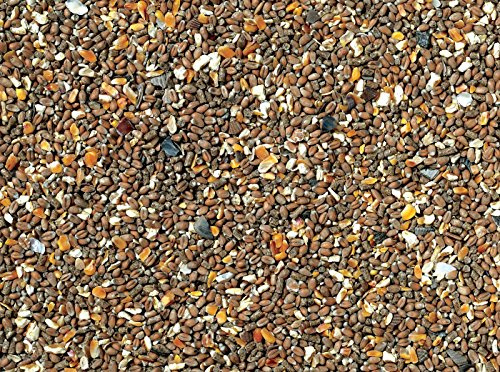 Johnston & Jeff Chicken Corn Extra With Oyster Shell Grit - 20kg, Transparent