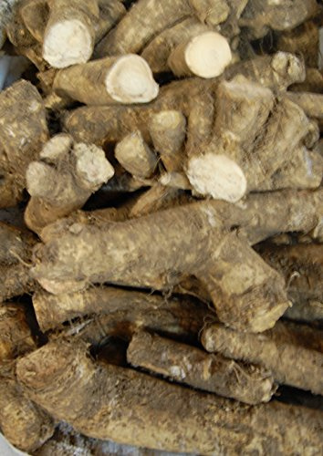 Horseradish Roots 1 Pound,(USA Only,Can Not be Shipped internationally) Ready for Planting or Preparing As Sauces or Dressings etc.