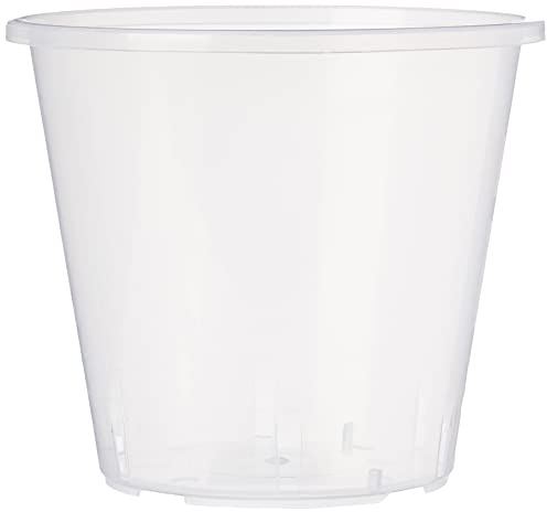 Stewart 2646008 11 cm Clear Pot - Clear