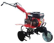 CAMPEON 641X500 - Motoazada Tm500 Gr2 6,5 Cv 80Cm 196