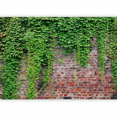 Fototapete murando 350x256 cm Vlies Tapeten Wandtapete XXL Moderne Wanddeko Design Wand Dekoration Wohnzimmer Schlafzimmer Büro Flur Steine Mauer Efeu b-A-0173-a-c