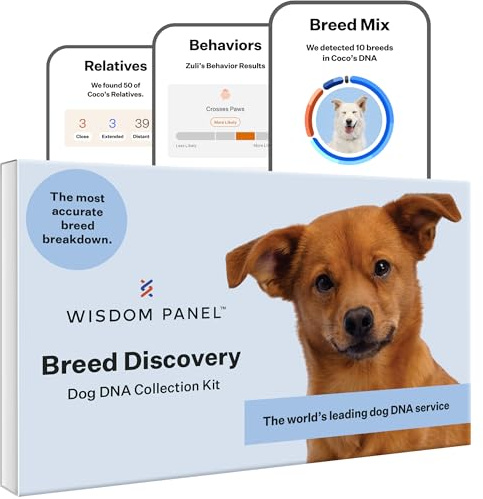 Wisdom Panel Breed Discovery 3.0: DNA-Test-Set für genaueste Rassen-ID | MDR1 | Ancestry | Verwandte