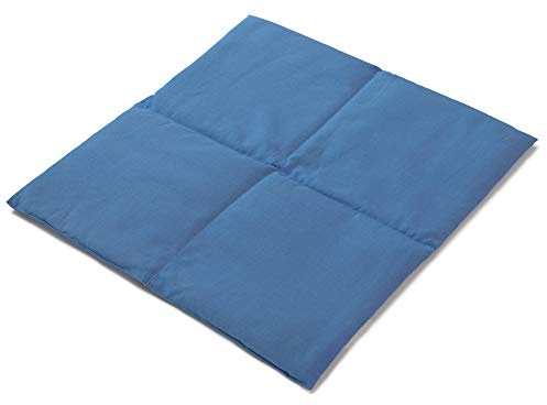Grande cuscino con semi di colza- 40x40cm - 4 compartimenti- blu chiaro - Cuscino termino con semi