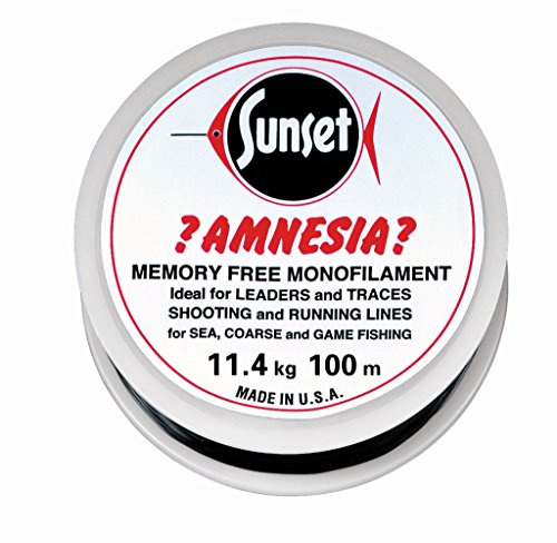 Jenzi Amnesia Leader Vorfach Schwarz 25lbs 100m