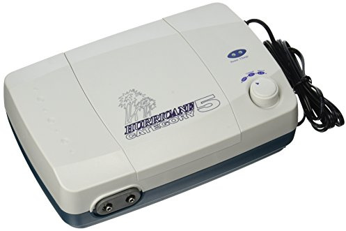 Deep Blue Professional ADB61037 Hurricane Category 5 Professional AC/DC Battery Operated Air Pump