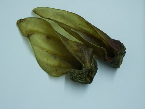 Rinder-Ohr XXL 10Stück