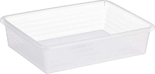 Rotho Linus Aufbewahrungsschale A5, Kunststoff (PP) BPA-frei, transparent, A5 (25.5 x 19.5 x 6.0 cm)