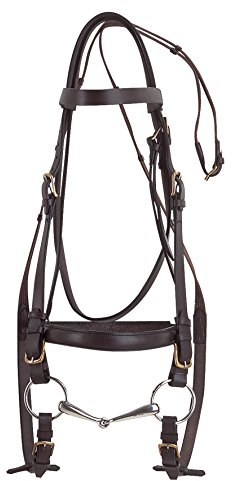 Trensenzaum Excelsior havana Kaltblut