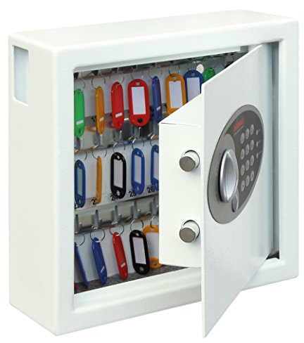 Phoenix Cygnus KS0031E | elektronischer Schlüsselkasten 30 Schlüssel | inkl. Montagematerial Anhänger | 6kg 300x100x280mm