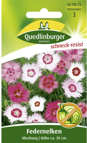 Quedlinburger SAATGUT