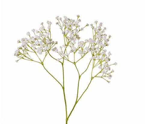kunstpflanzen-discount.com Schleierkraut 3fach verzweigt 90 weiße Blüten Höhe ca. 65cm