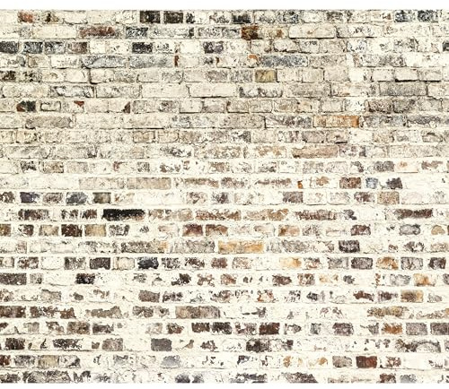 Fototapete murando 400x280 cm Vlies Tapeten Wandtapete XXL Moderne Wanddeko Design Wand Dekoration Wohnzimmer Schlafzimmer Büro Flur Ziegel Mauer Beton f-B-0019-a-a
