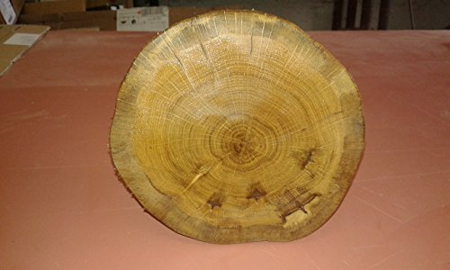 KJR Holzmanufaktur Baumscheibe, Holzscheibe,ca. 40x15 cm, basteln, Holz,Eiche, geschliffen, geölt