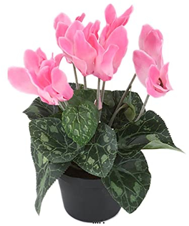 Künstliche – Alpenveilchen, künstlich im Topf H 20 cm D 15 cm Hochwertige Top Rosa unterstützt – Farbe: Rosa unterstützt