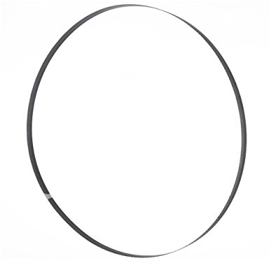 Holzmann - Hoja de sierra de cinta de madera PAE 3454 x 25 x 0,7 mm DC8 BSB470B25 para HBS470PROFI