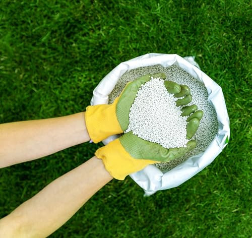 F&G Supplies 20kg sack of Proctors Autumn & Winter Lawn Feed with iron to kill moss - 571 sq m coverage