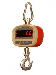 Bilancia dynamomètre gancio peseur 300 kg x 50 g