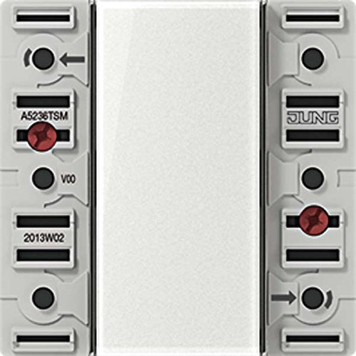 Jung Tastsensor-Modul 24 V AC/DC A5236TSM
