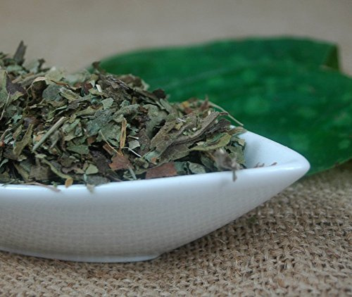 Naturix24 – Lungenkrauttee, Lungenkraut geschnitten – 100g-Beutel