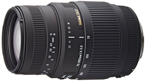 Sigma AF 70-300mm f4-5.6 DG Macro Canon Fit Lens