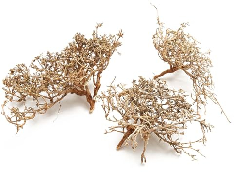 NaDeco Dry-Busch-Zweige in Natur, Packung mit ca. 0,5kg | Deko-Zweig | Korallenholz | Korallenzweige | Deko-AST | Deko-Wurzeln | Exotische Dekoration | Modellbau | Terrarium-Deko | Naturdeko