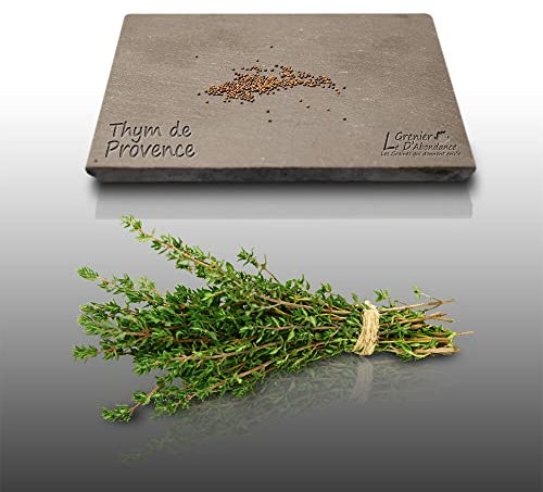 100 graines Aromatiques à semer - Le Grenier d'Abondance - THYM DE PROVENCE - Thymus vulgarus