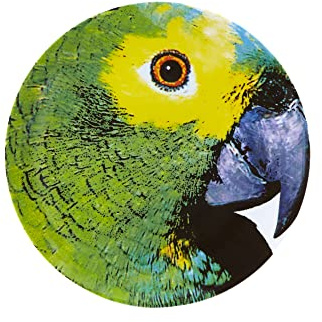 Olhar O Brasil 12.88 Parrot Charger Plate